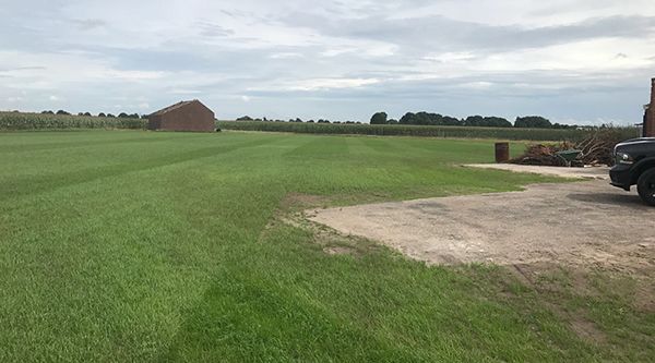 gras inzaaien door Van Hiele Infra BV Grond- Sloop- & Straatwerken in Overloon